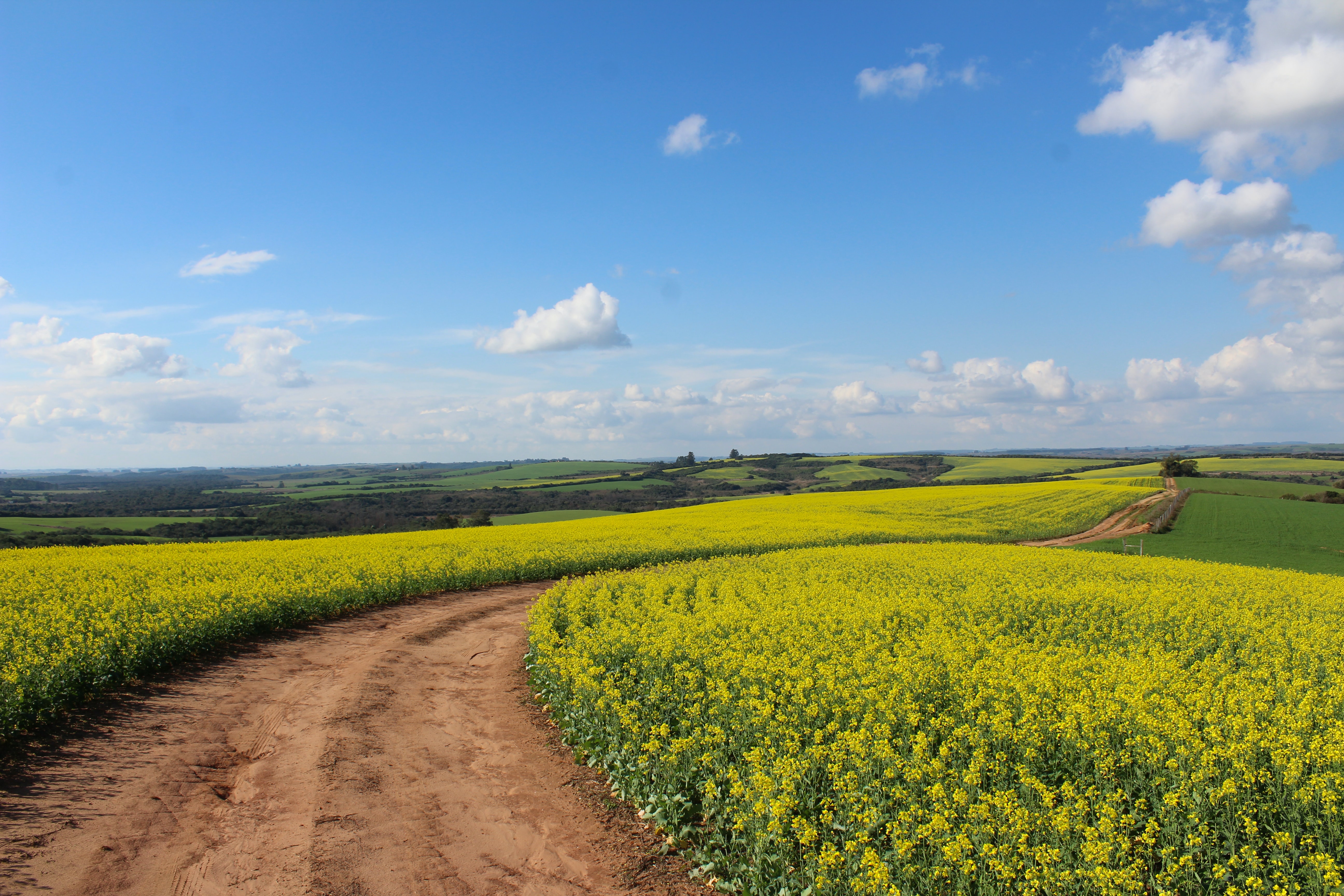 Open Land Investments Features Background