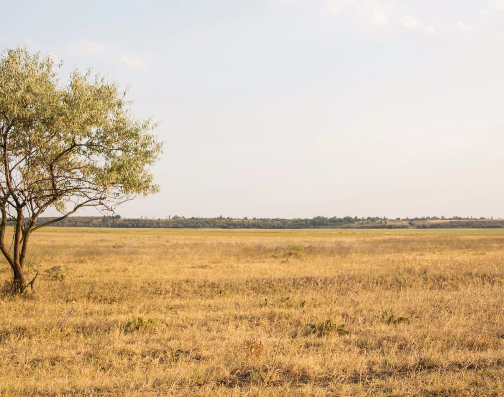 Open Land Investments Here's Our Process Background